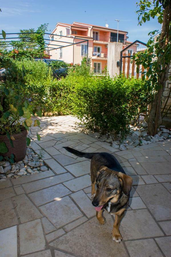 Apartmani Arijana Μεντουλίν Εξωτερικό φωτογραφία